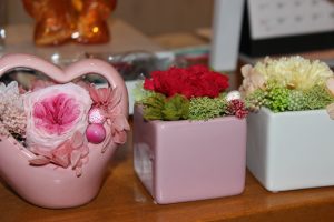 IMG_8559