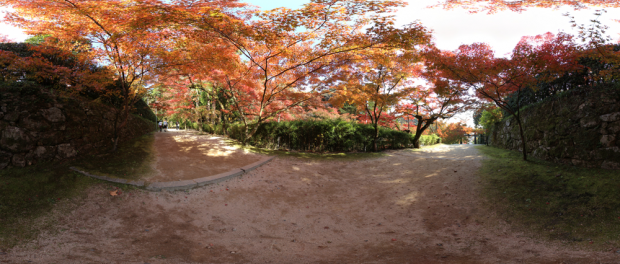 4_niyama_1