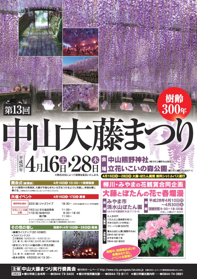 中山大藤まつり