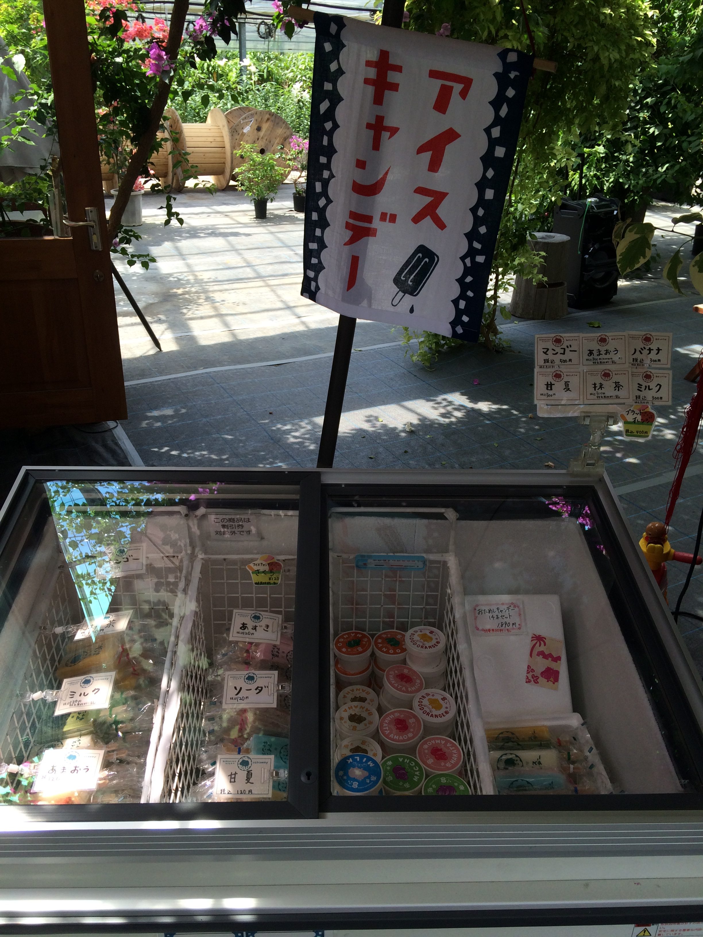 IMG_3877[1]